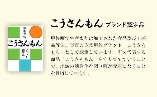 【甲佐ブランド】 うなぎ 蒲焼き 2尾 【こうさんもん認定商品】熊本産 国産 総重量300ｇ以上 - うなぎ 鰻 蒲焼 国産 熊本産 こうさんもん 甲佐ブランド 甲佐町特産 蒲焼き ふっくら 冷凍 熊本県 甲佐町