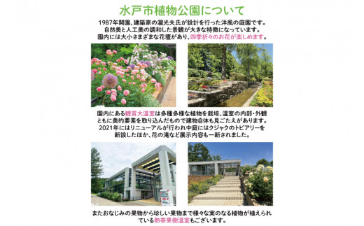 【数量限定】水戸市植物公園ガイドツアー＆薬膳料理体験（ペアチケット）【花 グリーン 癒し 薬膳 漢方 薬膳料理 カレー 薬膳カレー 体験ツアー お土産付き ガイドツアー ガイド 水戸市 茨城県】（KD-1）