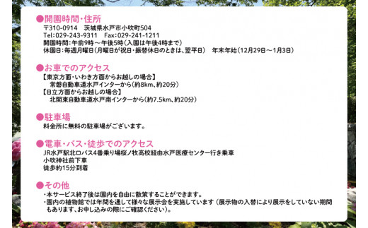 【数量限定】水戸市植物公園ガイドツアー＆薬膳料理体験（ペアチケット）【花 グリーン 癒し 薬膳 漢方 薬膳料理 カレー 薬膳カレー 体験ツアー お土産付き ガイドツアー ガイド 水戸市 茨城県】（KD-1）