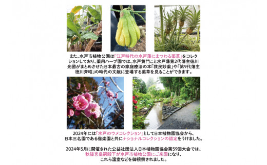 【数量限定】水戸市植物公園ガイドツアー＆薬膳料理体験（ペアチケット）【花 グリーン 癒し 薬膳 漢方 薬膳料理 カレー 薬膳カレー 体験ツアー お土産付き ガイドツアー ガイド 水戸市 茨城県】（KD-1）