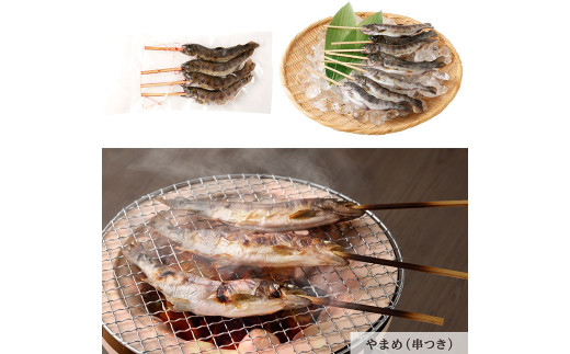 阿蘇から届く かわべの湧水やまめ (内臓処理済8匹・串8匹)