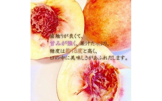 【令和7年産先行受付】中山町産白桃3kg　秀品　※硬めの桃、あまり軟らかくならない桃　　美晴白桃、おどろき他