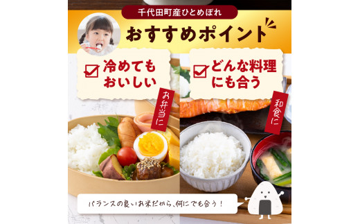 先行予約【令和6年度産】 収穫したお米を11月～3月に発送 【選べる配送月】 群馬県千代田町産 ひとめぼれ 10kg×1袋 群馬県 千代田町