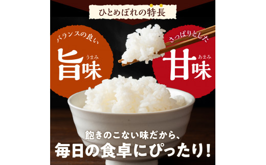 先行予約【令和6年度産】 収穫したお米を11月～3月に発送 【選べる配送月】 群馬県千代田町産 ひとめぼれ 10kg×1袋 群馬県 千代田町