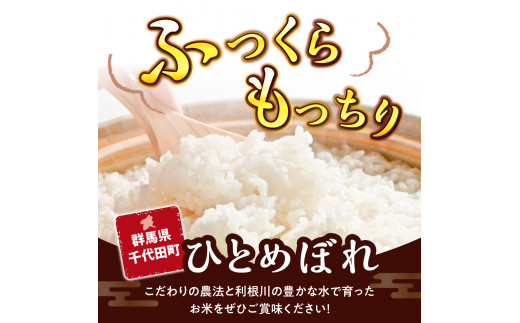 先行予約【令和6年度産】 収穫したお米を11月～3月に発送 【選べる配送月】 群馬県千代田町産 ひとめぼれ 10kg×1袋 群馬県 千代田町