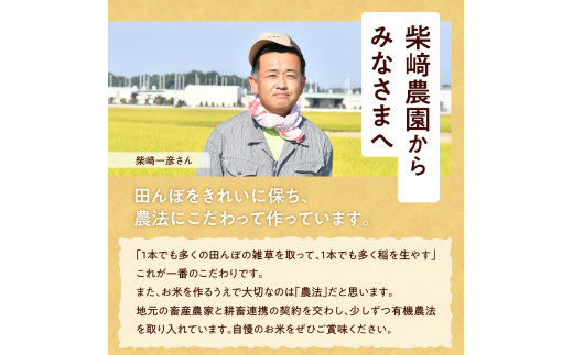 先行予約【令和6年度産】 収穫したお米を11月～3月に発送 【選べる配送月】 群馬県千代田町産 ひとめぼれ 10kg×1袋 群馬県 千代田町