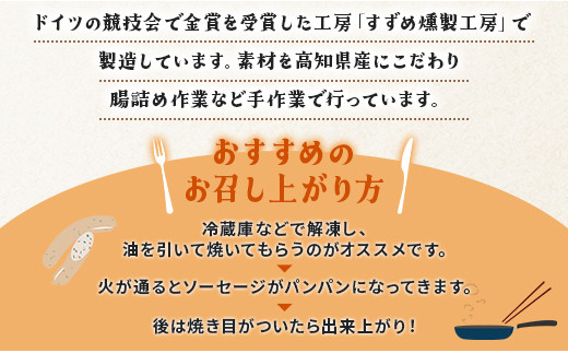 生産量日本一のニラソーセージ 2袋 合計10本 - ウィンナー ウインナー 惣菜 加工品 にら 韮 香味野菜 やさい 葉物 国産 おつまみ おかず 鍋 ご飯のお供 バーベキュー ギフト 高知県 香南市 on-0020