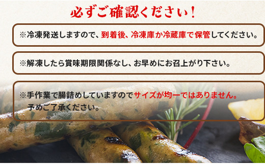 生産量日本一のニラソーセージ 2袋 合計10本 - ウィンナー ウインナー 惣菜 加工品 にら 韮 香味野菜 やさい 葉物 国産 おつまみ おかず 鍋 ご飯のお供 バーベキュー ギフト 高知県 香南市 on-0020