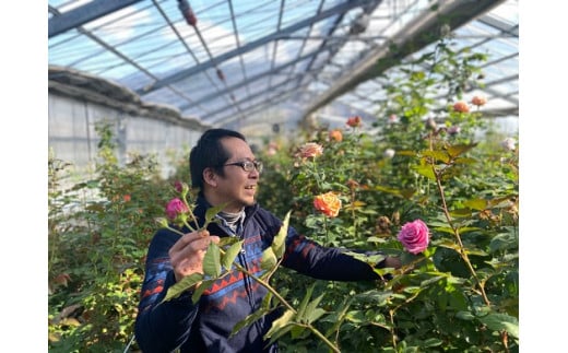 フラワー　花　バラ　バラ園　アレンジメント　お届け便　山口県