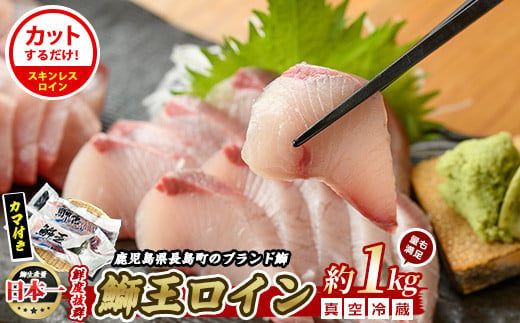 テレビで紹介ぶりの王様「 鰤王 」 ロイン 2節 (約1kg) 半身 産地直送 新鮮 旨味が抜群の 長島町 特産品 ブランド ぶり 鰤 ブリ ...