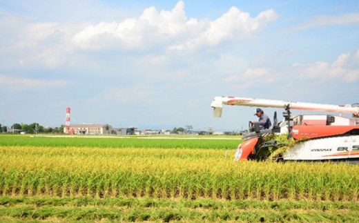 No.349 あいちのかおり（お米）計6kg ／ 大粒 おこめ 食べやすい 愛知県