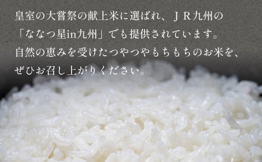 自慢の 玖珠米 「 ひとめぼれ 」 5kg 玖珠米 ひとめぼれ 5kg 白米 令和6年産 大分県 特別栽培米 特Aランク 米 自然 栽培 つや もちもち 盆地 寒暖差 赤土 肥沃な土壌 大嘗祭 献上米 JR九州 料理用 お取り寄せ 安全 食味ランキング