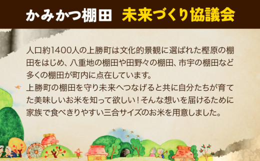 かみかつ棚田未来づくり協議会 米 かみかつの棚田米 柳瀬さんちのお米 玄米 コシヒカリ レターパック配送 3合《30日以内に出荷予定(土日祝除く)》 徳島県 上勝町 ふるさと納税 送料無料