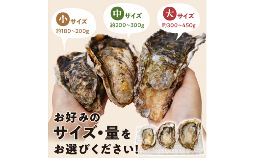 延岡産天然岩牡蠣（生食用）3kg（大）（2024年4月から発送開始） N036-YZA527