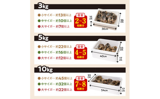 延岡産天然岩牡蠣（生食用）3kg（大）（2024年4月から発送開始） N036-YZA527