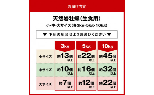 延岡産天然岩牡蠣（生食用）3kg（大）（2024年4月から発送開始） N036-YZA527