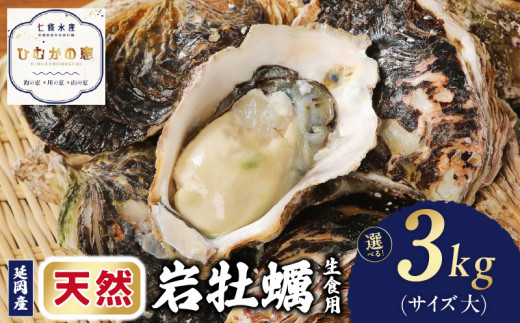 延岡産天然岩牡蠣（生食用）3kg（大）（2024年4月から発送開始） N036-YZA527