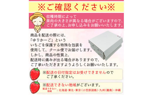 西予市宇和町産　谷口農園のいちご（紅い雫）4パック【２月配送】