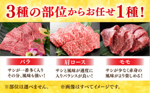 【年内配送 12月5日まで受付】艶さし！ 佐賀牛 焼肉用 1kg  （500g×2P） ※バラ・肩ロース・モモのいずれかの部位※ 吉野ヶ里町 [FDB021]