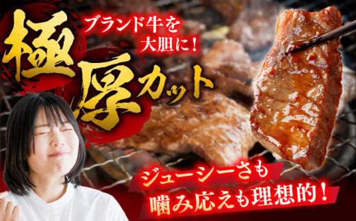 【年内配送 12月5日まで受付】艶さし！ 佐賀牛 焼肉用 1kg  （500g×2P） ※バラ・肩ロース・モモのいずれかの部位※ 吉野ヶ里町 [FDB021]