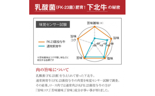 下北牛　カタロース(リブ側)　ステーキ　約300g　むつ市【1110773】