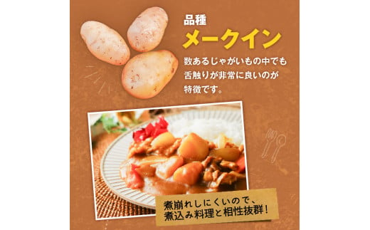 【2025年先行予約】前原さんの特選じゃがいも メークイン8kg ＆ 春かぼちゃ（くりゆたか）2玉　C062-T05