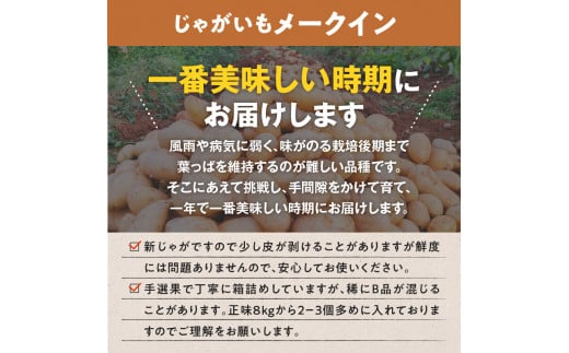 【2025年先行予約】前原さんの特選じゃがいも メークイン8kg ＆ 春かぼちゃ（くりゆたか）2玉　C062-T05