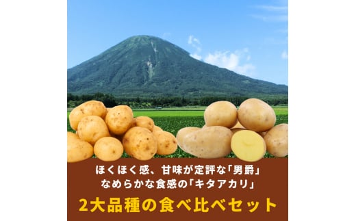 2024年秋発送！ 北海道羊蹄山麓 じゃがいも20kg 食べ比べ（男爵10kg・キタアカリ10kg）［JAようてい］【 野菜 じゃがいも だんしゃく きたあかり 10kg 20kg 料理 】