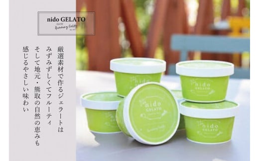 ソルベ＆ジェラート「Nido GELATO」(2種 計6個)【Humming Fields】（025_5003）