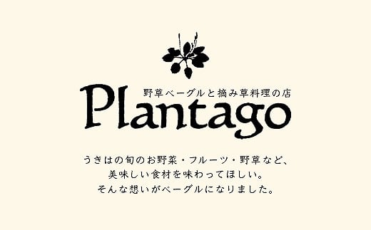 Plantago ベーグルセット