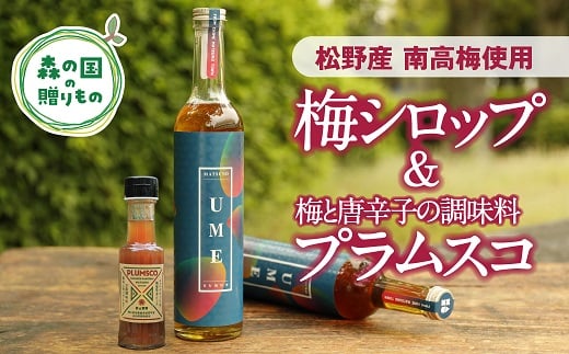 【松野町産 南高梅使用】梅シロップ（500ml）と梅と唐辛子の調味料「プラムスコ」（100ml）のセット◇ 