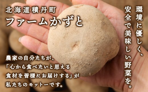 数量限定 期間限定 じゃがいも コロッケ 食べ比べ セット 計2箱 冷凍 チーズ ジャガイモ 芋 いも