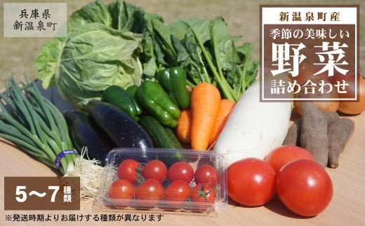 【新温泉町産】季節のおいしい野菜詰め合わせ