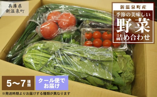 【新温泉町産】季節のおいしい野菜詰め合わせ