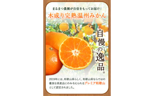 木成り完熟 温州 みかん ミックスサイズ 約 10kg まるまつ農園《12月上旬-1月上旬頃より出荷》 和歌山県 日高川町 温州みかん みかん 完熟