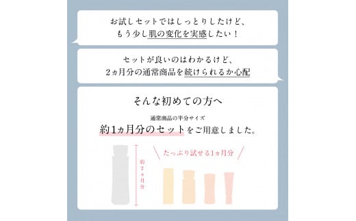 再春館製薬所 ドモホルンリンクル 基本4点 ハーフ セット 保湿液 美活肌エキス クリーム20 保護乳液