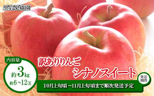 [No.5657-3612]シナノスイート 訳ありりんご 約3kg (約6～12玉)  《黒岩果樹園》■2024年発送■※10月上旬頃～11月上旬頃まで順次発送予定