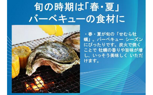 牡蠣 カキ 岩ガキ 岩がき 岩牡蠣 岩カキ 大容量 海のミルク 濃厚 クリーミー 夏バテ防止 10kg 冷凍 焼き 蒸し 加熱