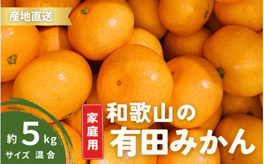 【10月発送】ご家庭用 有田みかん 和歌山 S～Lサイズ 大きさお任せ 5kg / みかん フルーツ 果物 くだもの 有田みかん 蜜柑 柑橘【ktn007A-10】