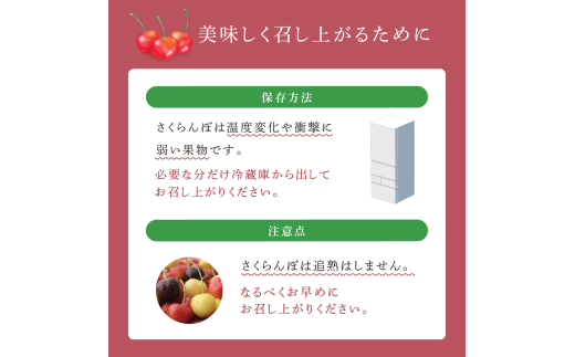 【先行受付】さくらんぼ 勝錦1kg（500g×2パック）サクランボ 赤 大橋 オリジナル 希少 [№5342-0284]