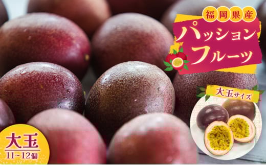 福岡県産 パッションフルーツ 大玉 11~12個 果物 フルーツ 福岡県産 パッションフルーツ 大玉 11~12個 果物 フルーツ