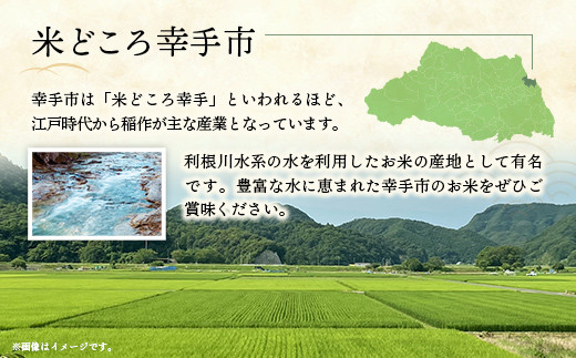 【新米発送】令和6年産 幸手市産 コシヒカリ 玄米10kg 色彩選別済 Brown Rice - お米 米 こしひかり 玄米 10kg 埼玉県 幸手市