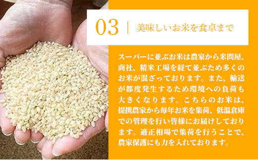 【新米発送】令和6年産 幸手市産 コシヒカリ 玄米10kg 色彩選別済 Brown Rice - お米 米 こしひかり 玄米 10kg 埼玉県 幸手市