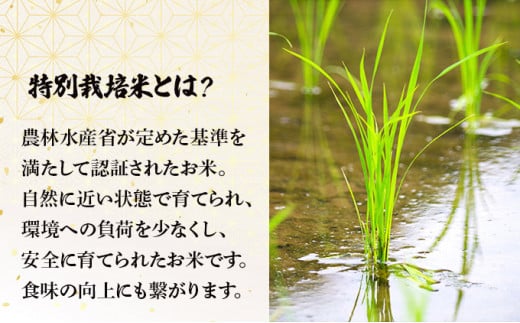 【3か月定期便】青森県産　特別栽培米　まっしぐら10kgと十穀米セット　【02402-0220】