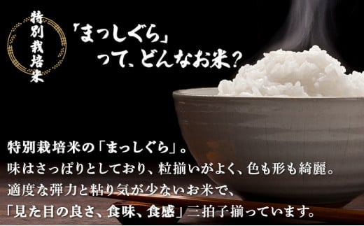 【3か月定期便】青森県産　特別栽培米　まっしぐら10kgと十穀米セット　【02402-0220】