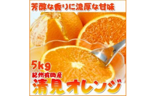 【2・4・6・8・10・12月 偶数月発送 全6回】和歌山産 旬のフルーツ お楽しみ 定期便 【魚鶴商店】【UT113】