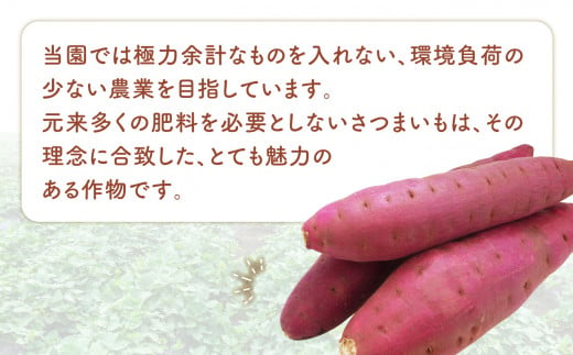 訳あり さつまいも 紅はるか 5kg 無農薬 規格外 不揃い サイズ混合 | さつまいも紅はるか 土付き サツマイモ スイートポテト おやつ 芋 さつま芋 福島県 大玉村 八起農園 ｜ yn-sm-wa‐b-5kg-r6 