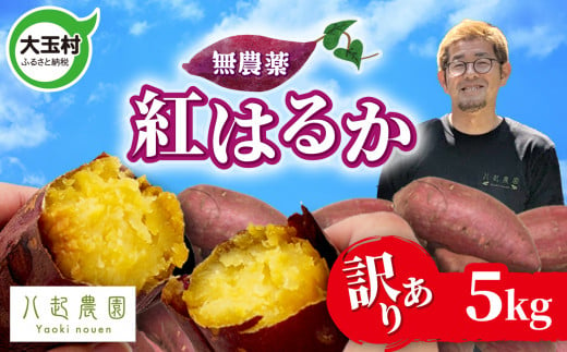 訳あり さつまいも 紅はるか 5kg 無農薬 規格外 不揃い サイズ混合 | さつまいも紅はるか 土付き サツマイモ スイートポテト おやつ 芋 さつま芋 福島県 大玉村 八起農園 ｜ yn-sm-wa‐b-5kg-r6 