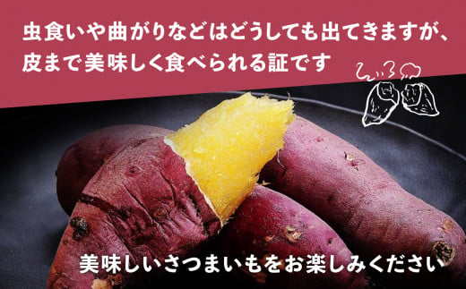 訳あり さつまいも 紅はるか 5kg 無農薬 規格外 不揃い サイズ混合 | さつまいも紅はるか 土付き サツマイモ スイートポテト おやつ 芋 さつま芋 福島県 大玉村 八起農園 ｜ yn-sm-wa‐b-5kg-r6 