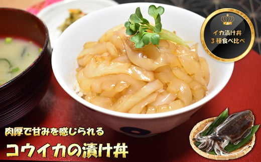 イカ好きにはたまらない!高鮮度イカの漬け丼3種食べ比べセット各2食[F0089]